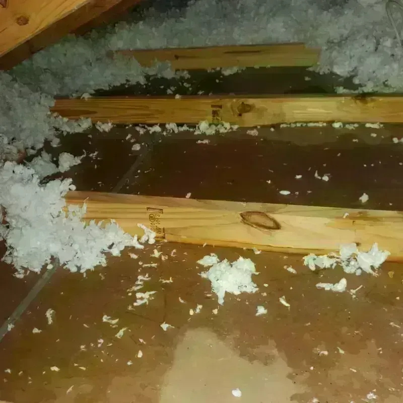 Attic Water Damage in Blue Ridge, GA